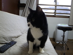 R0013066.JPG